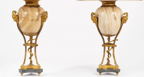 Pair of neoclassical  vases - 