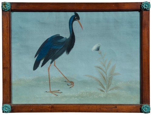 American Blue Heron, Lombard painter 18th/early 19th century