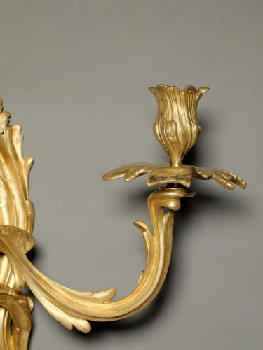 18th century - Pair of Louis XV period sconces in gilded bronze