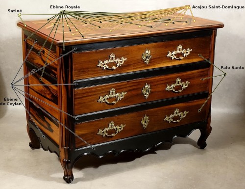 XVIIIe siècle - Commode en ébène Royale - La Rochelle XVIIIe