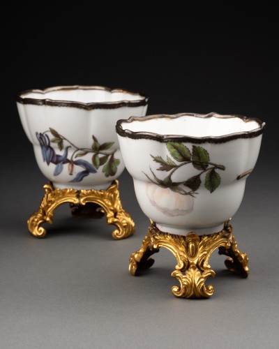 Pair of cups with botanical decoration, Meissen circa 1740 - Louis XV