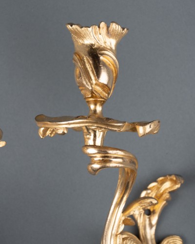 Lighting  - Pair of rocaille sconces, Paris, Louis XV period