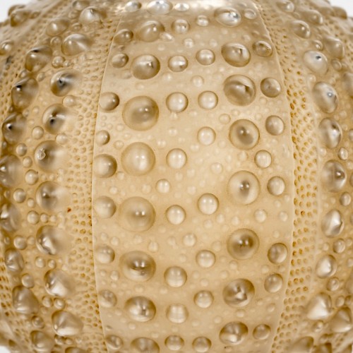 20th century - 1935 René Lalique - Vase Oursin Sea Urchin 