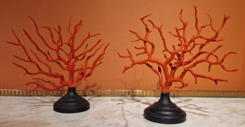 Paire de branches de corail de Trapani - Objets de Curiosité Style 