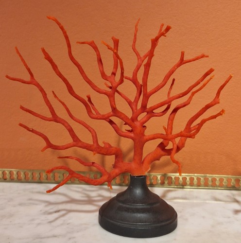 Paire de branches de corail de Trapani - Castellino Fine Arts