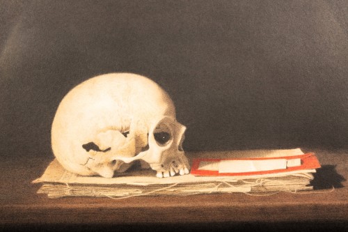 Paintings & Drawings  - Vanitas by Catherine Jansens (Born in 1949)