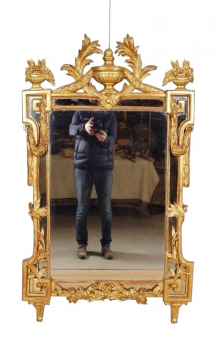 Louis XVI Provencal mirror