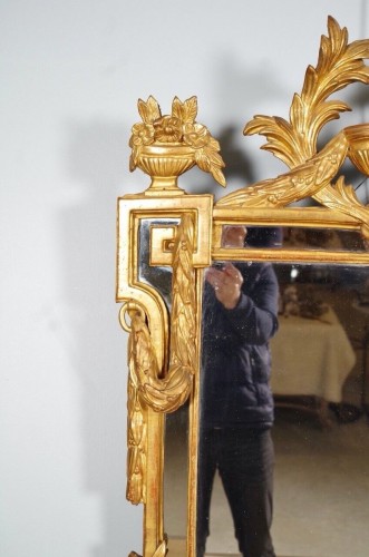 Mirrors, Trumeau  - Louis XVI Provencal mirror