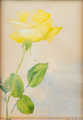 Paintings & Drawings  - Olle Hjortzberg (1872-1959) - A Yellow Rose, 1917