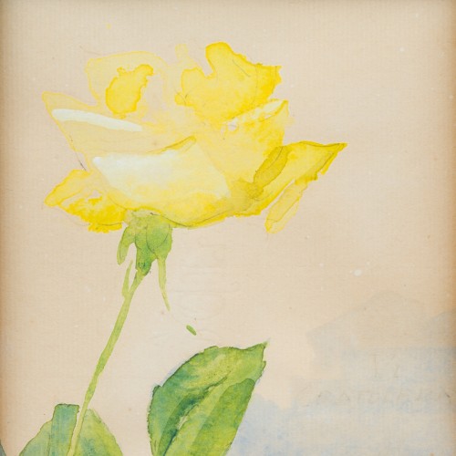 20th century - Olle Hjortzberg (1872-1959) - A Yellow Rose, 1917