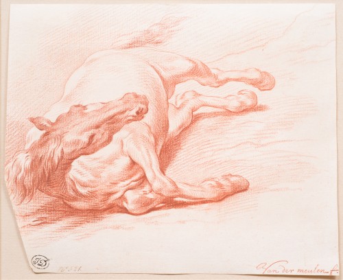 Adam Frans van der Meulen (1632-1690) - Study of a horse lying on its right side  - Paintings & Drawings Style 