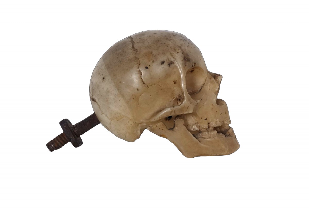 Italian Memento Mori skull - XVII century - Ref.81712