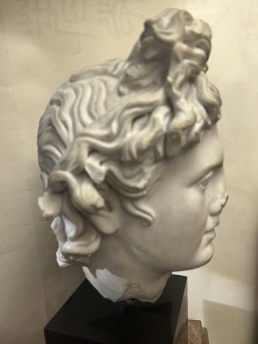 Head of the Apollo de Belvedère - Sculpture Style 