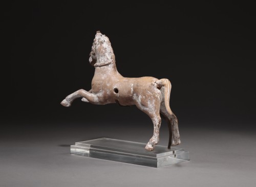 Ancient Art  - Terracotta Horse - Canosa, 3rd century BC