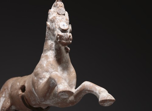 Terracotta Horse - Canosa, 3rd century BC - 