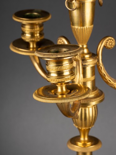 Antiquités - Paire de candélabres d'époque Louis XVI en bronze doré