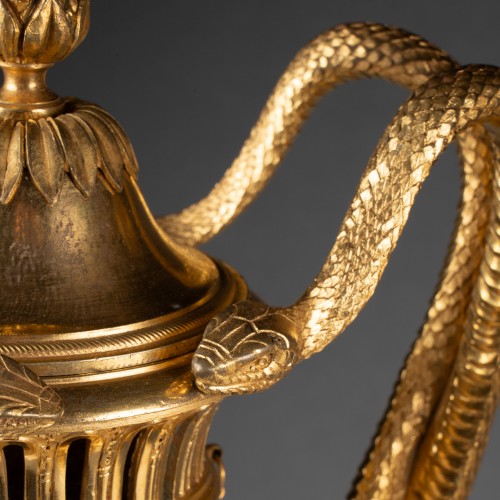 XVIIIe siècle - Paire de grands vases balustres aux serpents époque Louis XVI