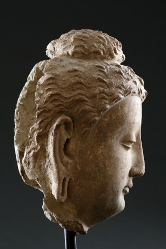 Tête de bouddha du Gandhara, 3e siècle après J.-C. - Finch and Co