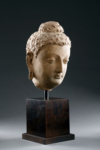 A Fine Gandharan Head of a Buddha - 