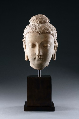  - A Fine Gandharan Head of a Buddha