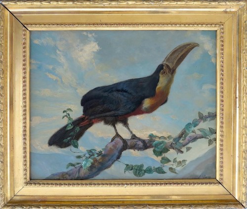 Louis Guery (1828–1893) - Toucan à ventre rouge