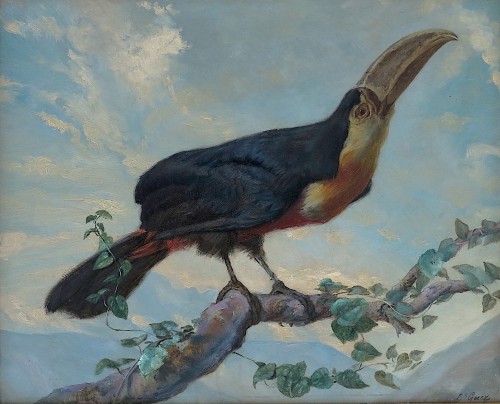 Louis Guery (1828–1893) - Toucan à ventre rouge - Tableaux et dessins Style Napoléon III