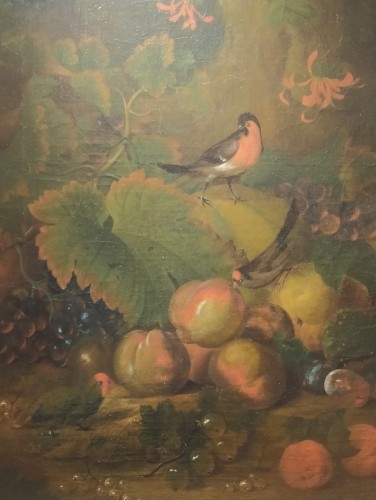 Paire de nature morte aux fruits, perruches et écureuil, école française du 19e siècle - Tableaux et dessins Style 