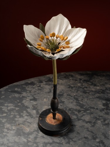 Modèle botanique d'une fleur de fraisier par R. & R. Brendel - Galerie Lamy Chabolle
