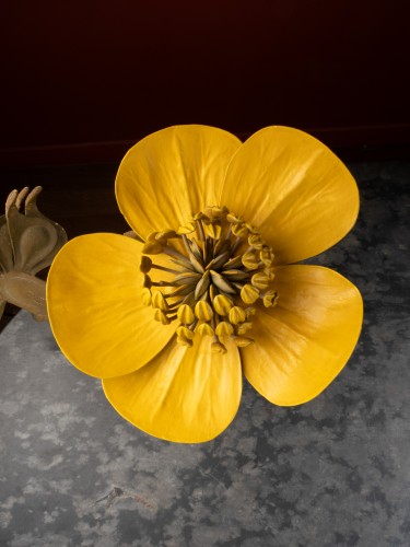 Curiosities  - Flower Model of a Buttercup by R. &amp; R. Brendel