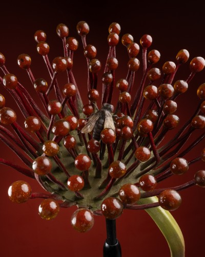 Botanical model of a carnivorous plant (Drosera rotundifolia) by Robert and - Curiosities Style 