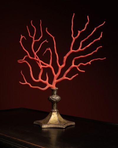 Red coral branch set on a Gothic brass base - Curiosities Style Middle age