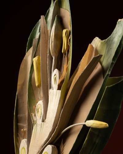 Curiosities  - Botanical model of a glume of rye (secale cereale) by Robert Brendel