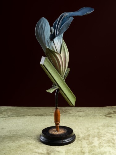 Curiosities  - Botanical Model of a Sage Flower by Robert Brendel