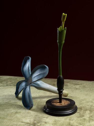 Curiosities  - Botanical Model of a Lilac Flower (Syringa vulgaris) by Robert Brendel