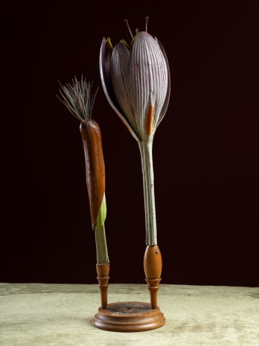 Modèle botanique d'une fleur de Colchique (Colchicum autumnale) par Robert Brendel - Objets de Curiosité Style Art nouveau