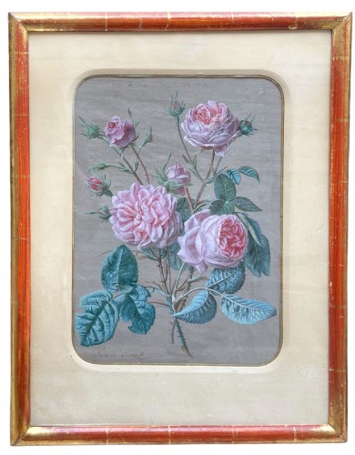 Tableaux et dessins Dessin, Aquarelle & Pastel - Paire d'aquarelles de fleurs par Francois Nicolas Laurent (1780-1828)