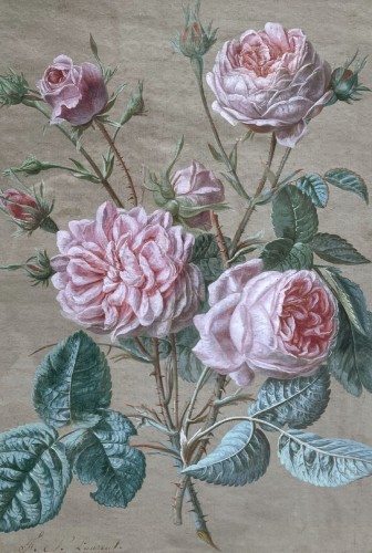 XIXe siècle - Paire d'aquarelles de fleurs par Francois Nicolas Laurent (1780-1828)