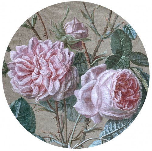 Paire d'aquarelles de fleurs par Francois Nicolas Laurent (1780-1828) - 