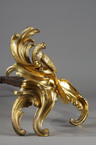 Objet de décoration  - Paire de chenets aux perruches attribué à jacques caffieri circa 1745-1755