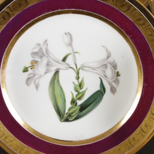 Schoelcher suite of 14 plates with botanical decoration circa 1810-1820 - 