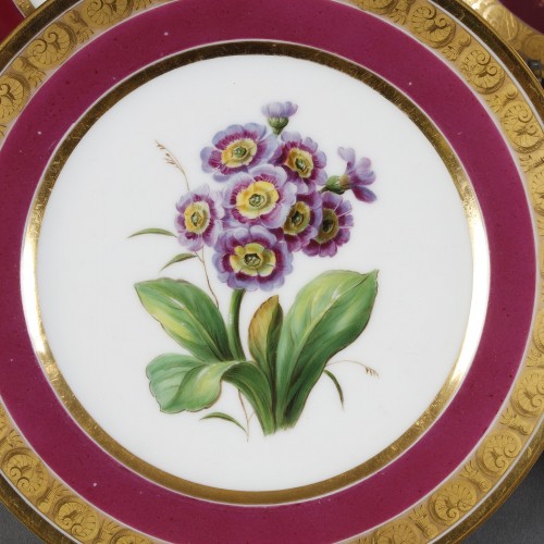 19th century - Schoelcher suite of 14 plates with botanical decoration circa 1810-1820