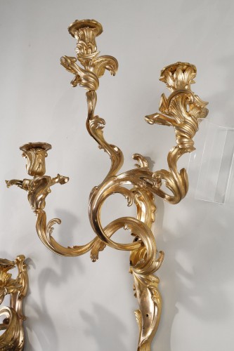 Antiquités - Large pair of Louis XV style wall lights