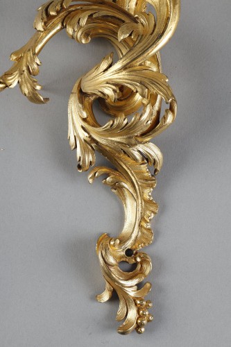 Antiquités - Pair of Regency Period Gilt Bronze sconces