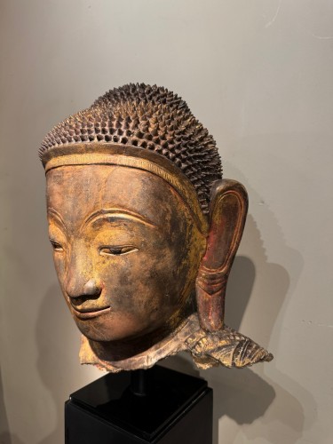 Grande tête de Bouddha en terre cuite, Birmanie, Etats Shan fin 18e siècle - Arts d