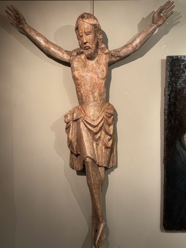 Antiquités - Very large Christ in poplar wood, Southern Germany 2nd half 14th century