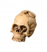 Un Crâne