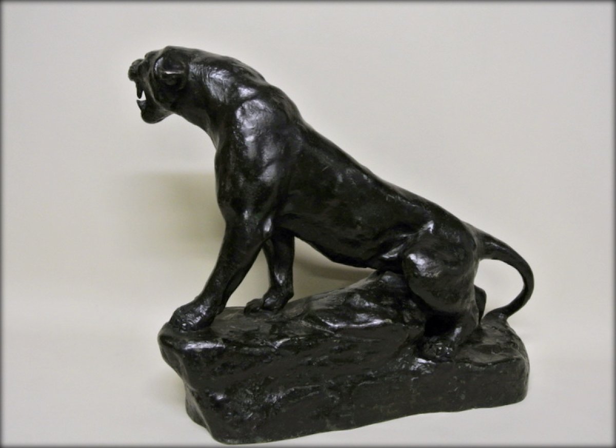 t cartier bronze panther