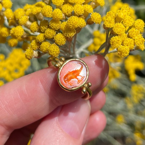  - A gold ring set with a Roman intaglio of a Parrot