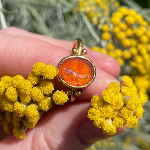 Antiquités - Bague en or sertie d'une intaille romaine d'un perroquet