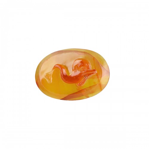 18th century. Carnelian cameo of a dolphin